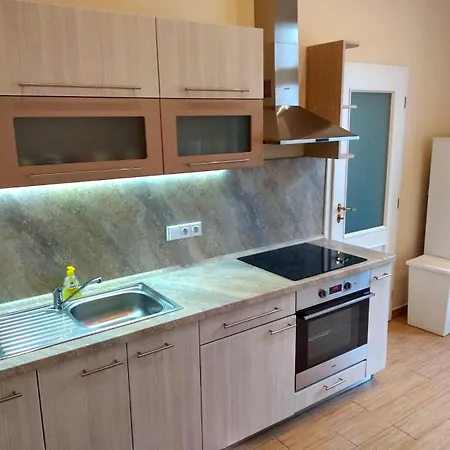 פראג Valentine'S National Museum Apartments חדר תמונה